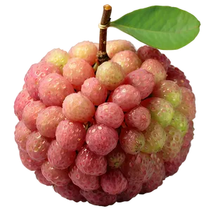 Glistening Fresh Lychee PNG Fvo PNG