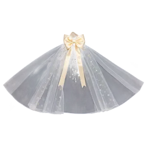 Glitter Tulle Bridal Veil PNG 06272024