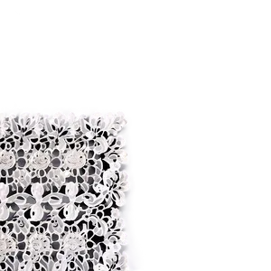 Glittering Lace Fabric Texture PNG 06272024