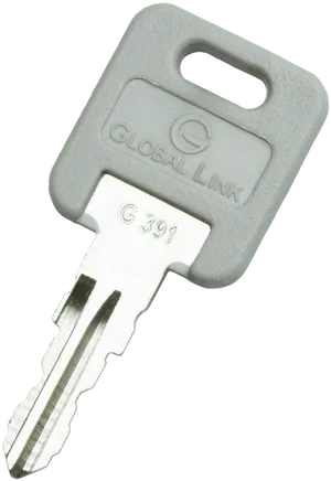 Global Link Key G391 PNG image