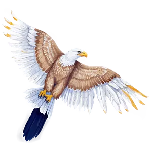 Glorious Eagle Wings Png 06262024 PNG image