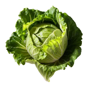 Glossy Lettuce Leaf Png Kxw71 PNG image