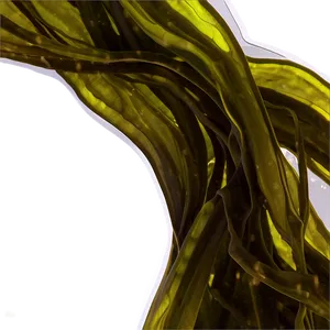 Glossy Seaweed Sticker PNG Xid