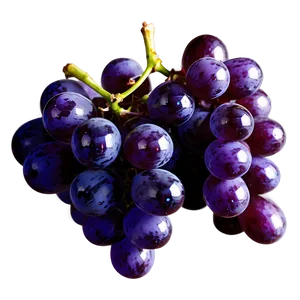 Glossy Shine Grape PNG 06292024 PNG