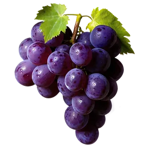 Glossy Shine Grape PNG Civ PNG