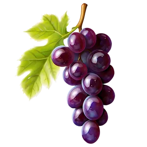 Glossy Shine Grape PNG Qxm97 PNG