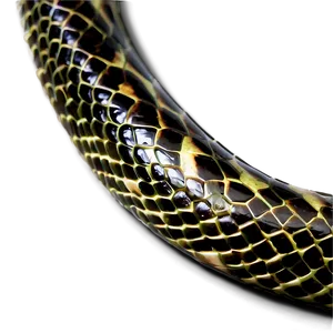 Glossy Snake Skin Png 06272024 PNG image