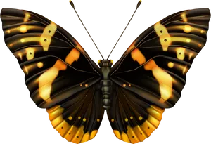 Glowing Butterfly Illustration PNG image