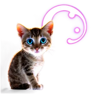 Glowing Cat PNG 05232024 PNG