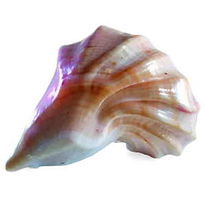 Glowing Conch Shell Effect PNG 06132024 PNG