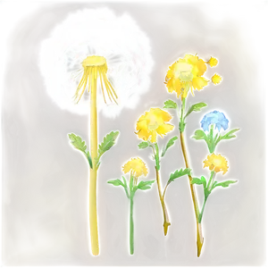 Glowing Dandelion PNG Nav35 PNG