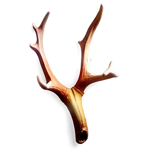 Glowing Deer Antler PNG 06122024