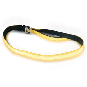 Glowing Dog Leash PNG 06132024