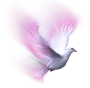 Glowing Dovein Flight