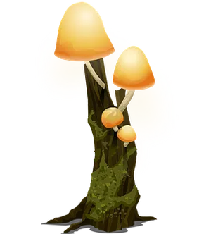 Glowing Mushroomson Tree Trunk PNG image