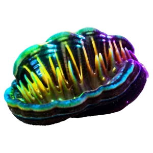 Glowing Neon Clam PNG Xol PNG