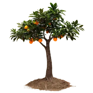 Glowing Orange Tree PNG Ihj15 PNG