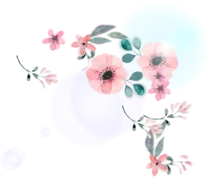 Glowing Pink Flowers Dark Background
