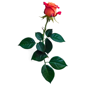 Glowing Rose PNG 65
