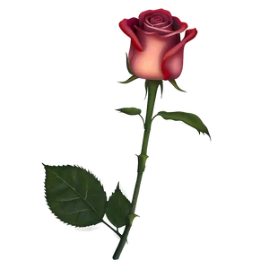 Glowing Rose Png Dkc PNG image