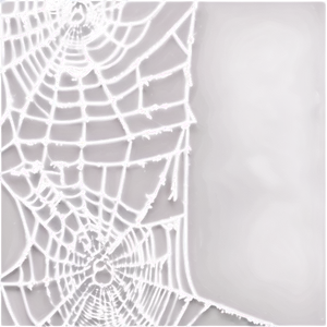 Glowing Spider Web Night PNG image