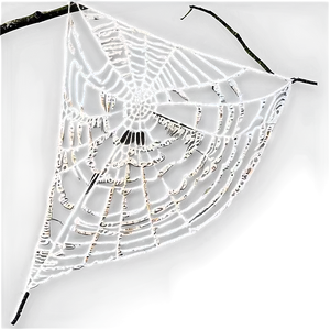 Glowing Spider Web Night PNG image