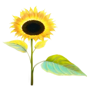 Glowing Sunflower PNG 05032024 PNG