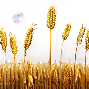 Glowing Wheat Under Moonlight Png Ctr93 PNG image