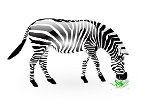 Glowing Zebra Artwork