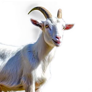 Goat Art Png 19 PNG image