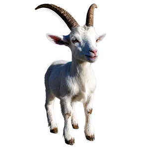 Goat Breed Png Qij83 PNG image
