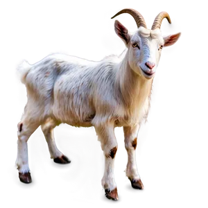 Goat Clipart Png Aeo23 PNG image