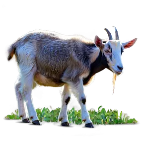 Goat Eating Png Mht PNG image