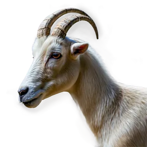Goat Emoji Png 05232024 PNG image