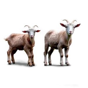 Goat Family Png Vro PNG image