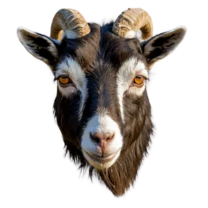 Goat Graphic Png 89 PNG image