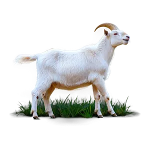 Goat Graphic Png Llf82 PNG image