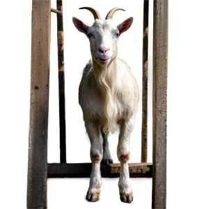 Goat In Barn Png Fwa PNG image