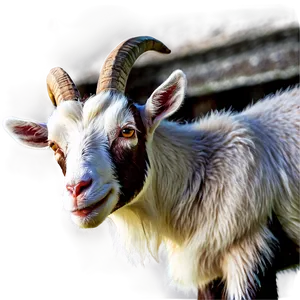 Goat In Barn Png Quc PNG image