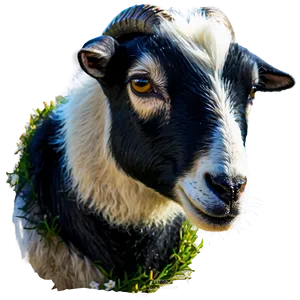 Goat Kid Png 05232024 PNG image