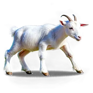 Goat Kid Png Enl4 PNG image