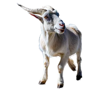 Goat On Mountain Png Ggq PNG image