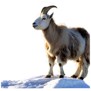 Goat On Mountain Png Idk9 PNG image