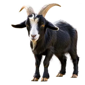 Goat Silhouette Png 05232024 PNG image