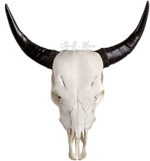 Goat Skullwith Long Horns PNG image