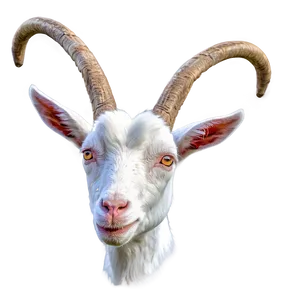 Goat With Horns Png 80 PNG image