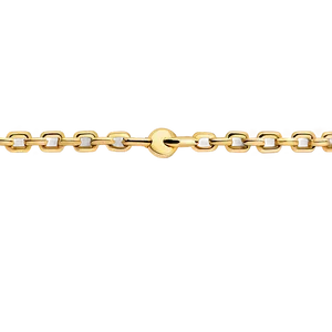 Gold Chain Gift PNG 62