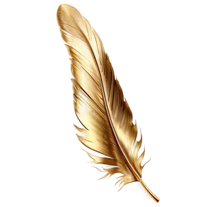Gold Feather Detail PNG 06262024 PNG