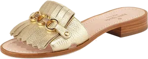 Gold Fringe Sandal Side View PNG