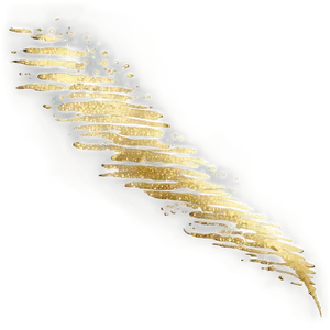 Gold Glitter Brush Stroke PNG 05232024